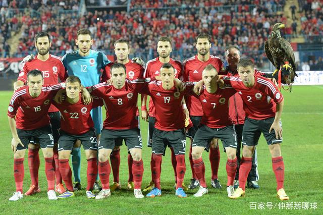 包含白俄罗斯对抗阿尔巴尼亚，展示实力冲击晋级的词条